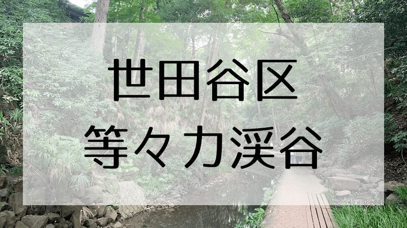 東京23区内唯一の渓谷！等々力渓谷で森林浴を満喫！
